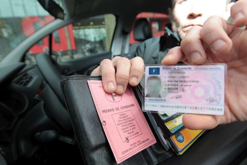 permis de conduire achat